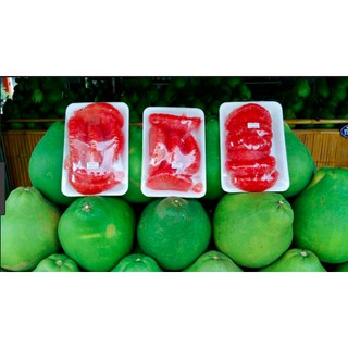 cây bưởi ruột đỏ rubi thái lan