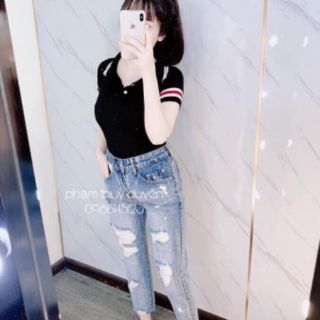 Combo áo len cổ đức 0.3