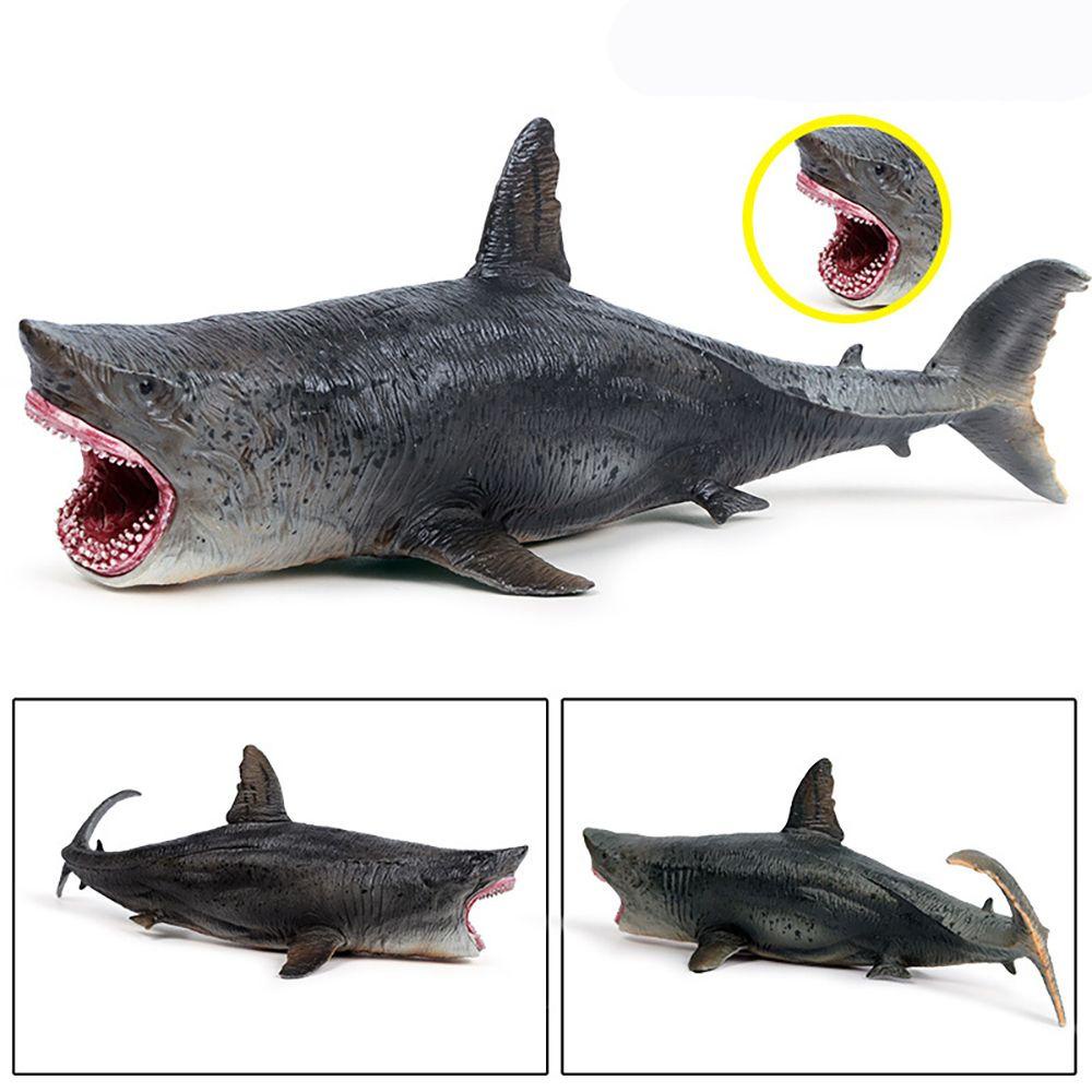 Mô Hình Megalodon Đồ Chơi Nhận Biết Giáo Dục Sớm Cho Bé