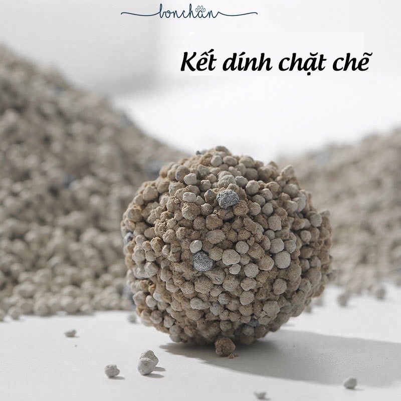 Cát Nhật Đen Cát Vệ Sinh Cho Mèo Siêu Vón Cục