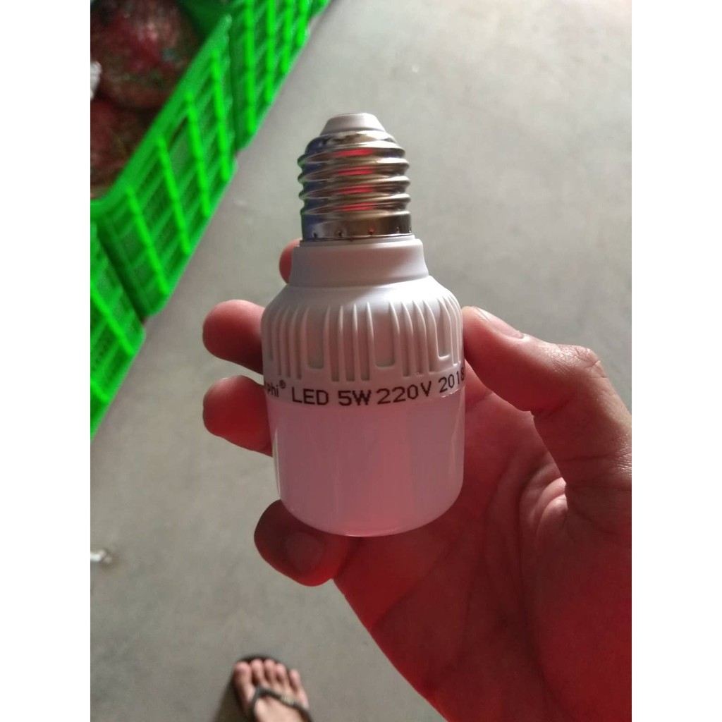 Bóng đèn led 5w