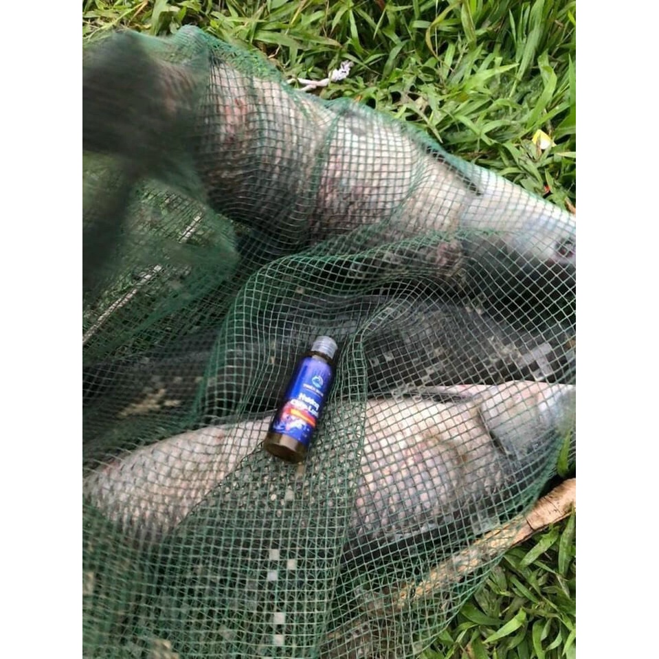 Hương Liệu Câu Cá HƯƠNG CHÉP LẠNH Thiên Minh Siêu Hot 2021 | Hiệu Quả Câu Cá Mùa Đông - VŨ MÔN NINH BÌNH