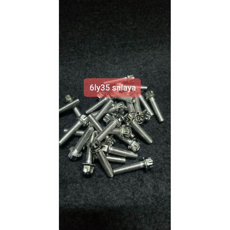 Ốc salaya side 6ly trụ lốc máy s03