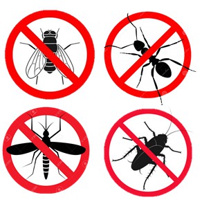 Thuốc diệt muỗi, ruồi và côn trùng permecide 50EC của Hợp Trí - 100ml - an toàn và hiệu quả với người dùng