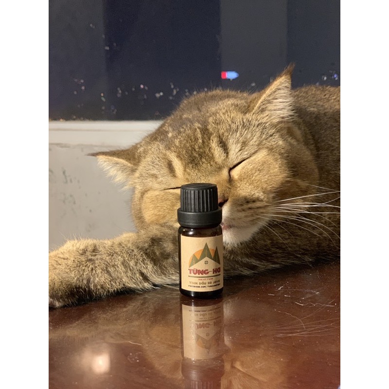 TINH DẦU 100% ORGANIC 10ml - Tùng Hạ Farm từ Đà Lạt giúp giảm căng thẳng mệt mỏi