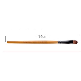 Cọ tém chân mày  / dcpxtrangphamsg