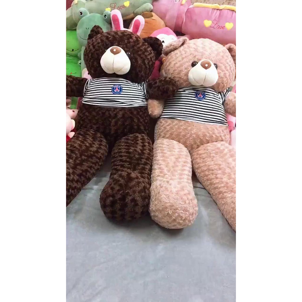 Gấu Bông Xù Teddy To Khổng Lồ Làm Quà Tặng Người Yêu Chất Liệu Vải Lông Nhung Xù Co Dãn Kích Thước 1m - 1m3