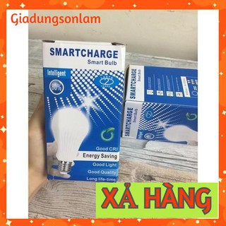 [FREESHIP TỪ 99K] Bóng đèn Led thông minh tích điện-12W (Hàng xuất xưởng) _giadungsonlam.vn