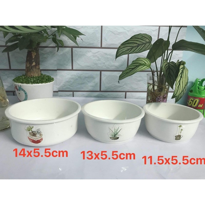 Bộ 3 chậu sứ trồng cây