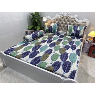 BỘ DRAP THUN HÀN QUÔC