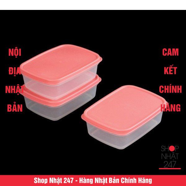 Set 3 hộp nhựa đựng thực phẩm Fitin Pack 300ml nắp dẻo - Nội địa Nhật Bản