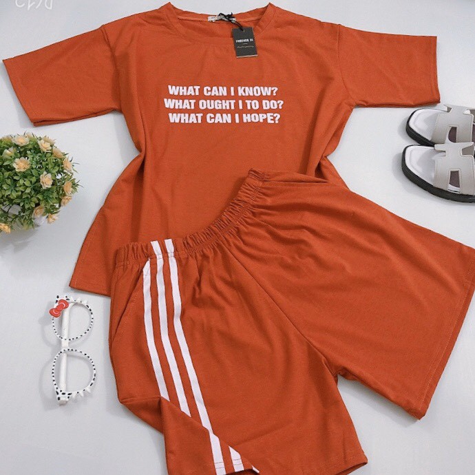 Đồ bộ đồ ngủ nữ thun cotton, quần lửng, mát, trẻ trung | BigBuy360 - bigbuy360.vn