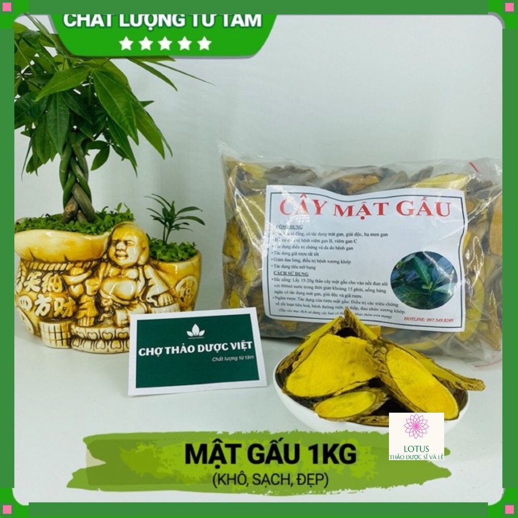 1 Kg cây mật gấu rừng