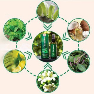 ️ Tóc Haco - Xịt Tóc Mao Bạt Khang