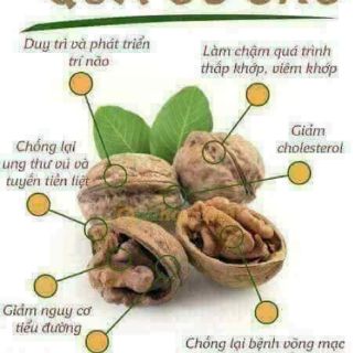GIÁ RẺ NHẤT - COMBO ÓC CHÓ + MACCA