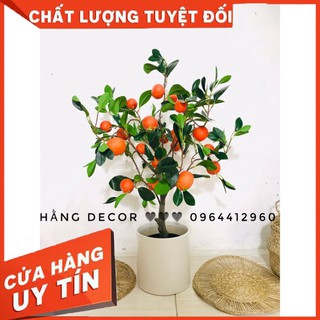 Home Decor - Cây quýt giả 85cm-cây giả trang trí tết