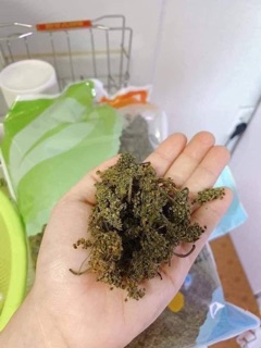 Trà sâm hàn quốc 500g