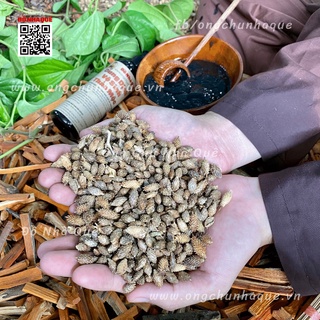 Dung Dịch Vệ Sinh Thảo Mộc