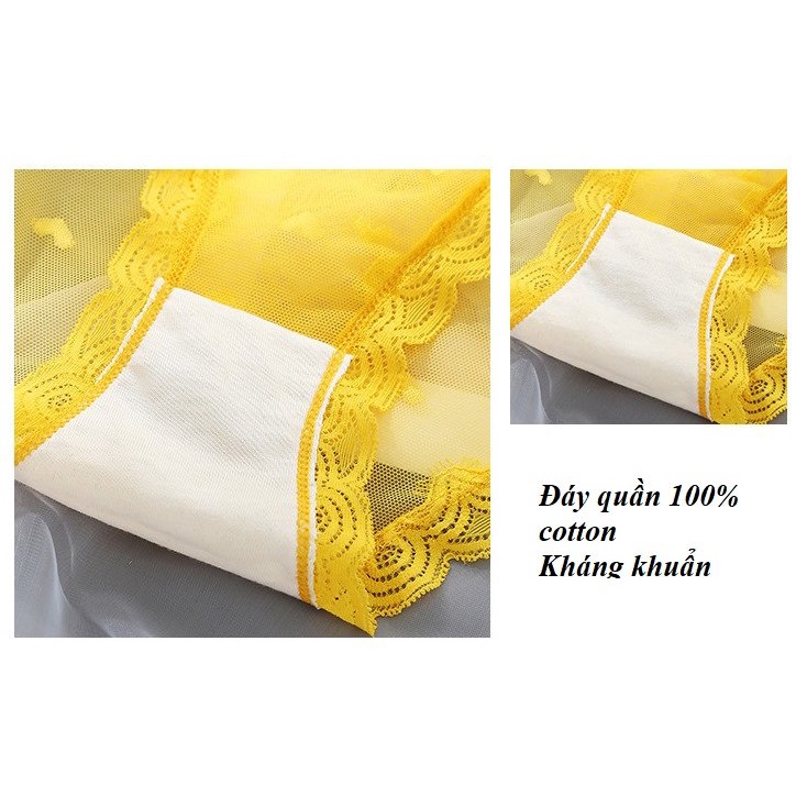 Quần lót nữ ren sexy mềm mại xuyên thấu sexy cao cấp QR07 - Her Sleepwear