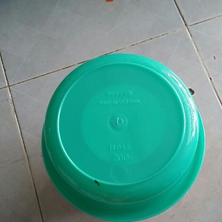 Thau nhựa duy Tân nhỏ