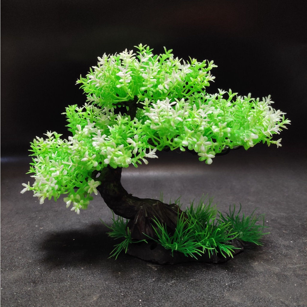 Cây cảnh nhựa trang trí bể cá - cây 1 tán bonsai