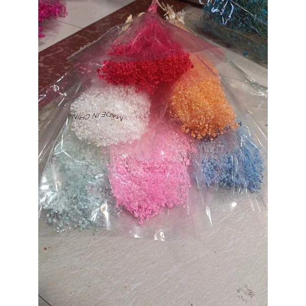 Hoa Baby khô trang trí decor