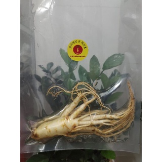 Nhân sâm tươi hàn quốc 1 củ size 10 củ 1kg.