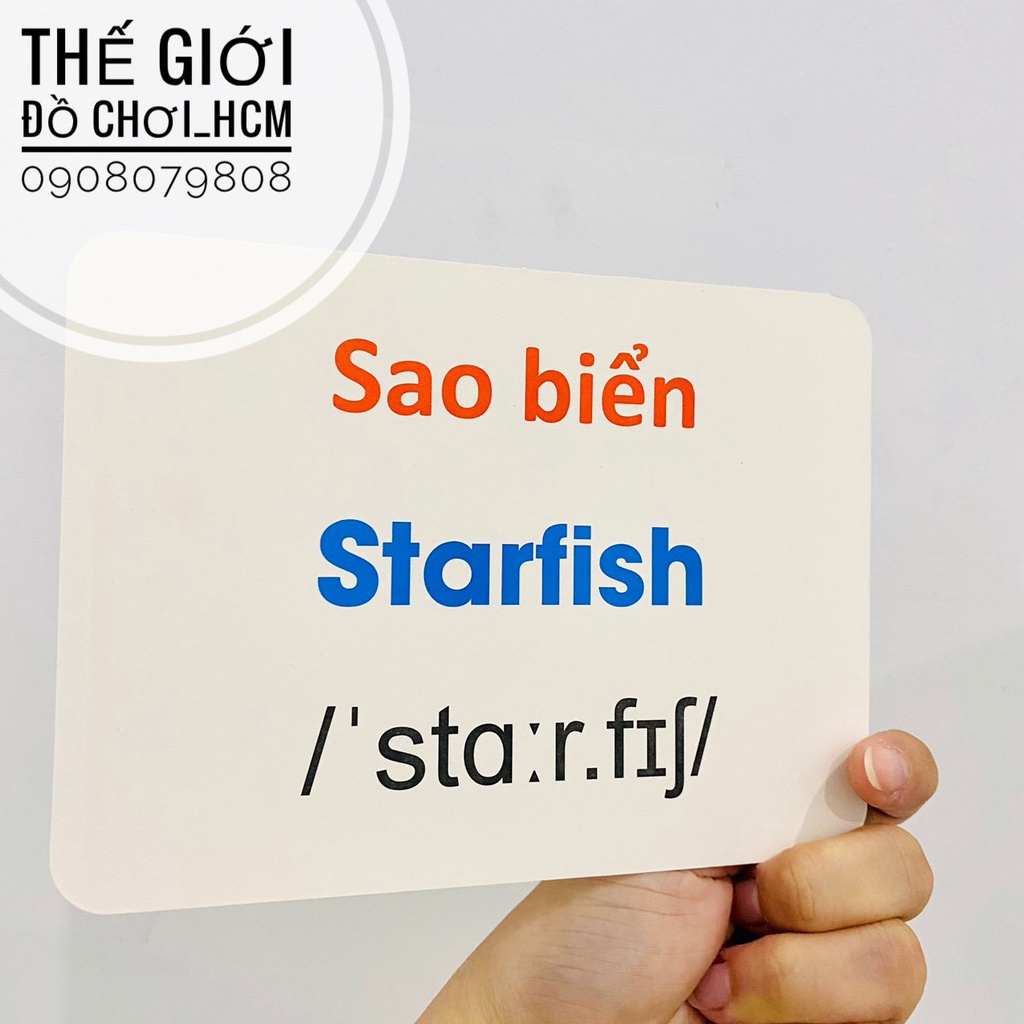 [19 CHỦ ĐỀ LOẠI LỚN] Bộ thẻ học thông minh 253 Flashcards song ngữ Anh Việt có phiên âm cho bé phát triển tư duy trí tuệ