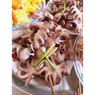 Bạch tuộc Baby