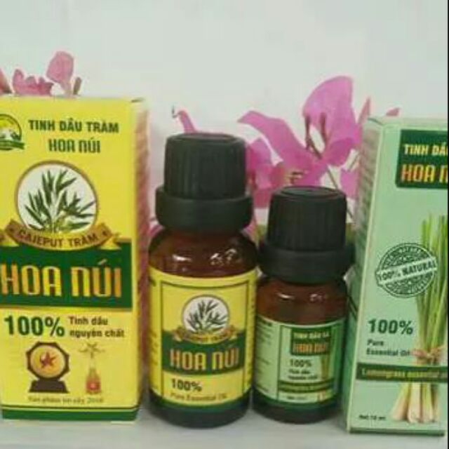 Tinh dầu tràm hoa núi