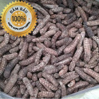 Chuối hột rừng - Loại cao cấp