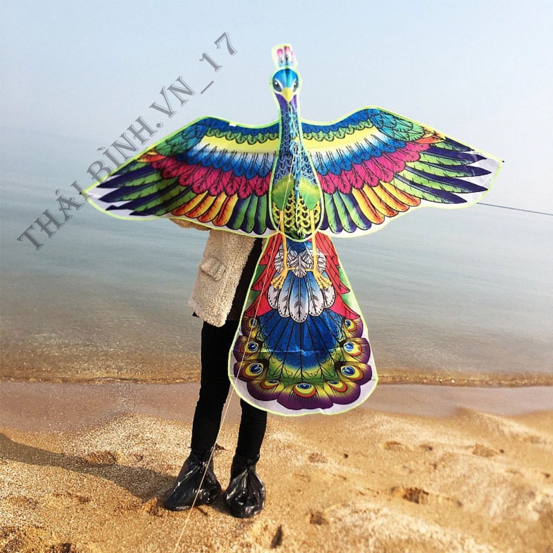 DIỀU CÔNG PHONG CÁCH XỨ HUẾ - DIỀU CỒNG SIỀU ĐẸP - THÁI BÌNH.VN_17