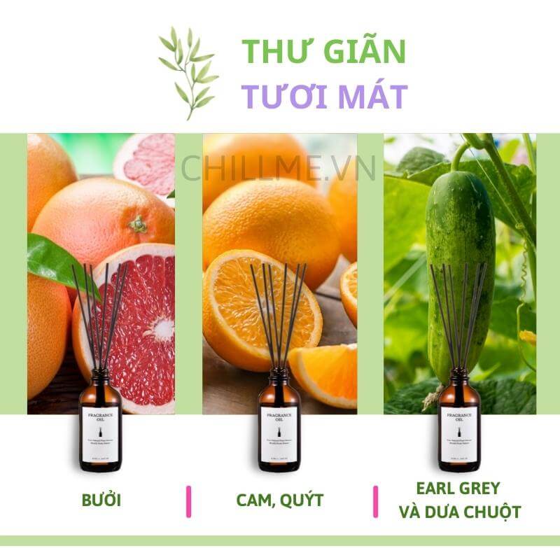 Tinh dầu thiên nhiên thơm phòng cao cấp nguyên chất 100ml TD02 xông phòng, đuổi muỗi - Chillme