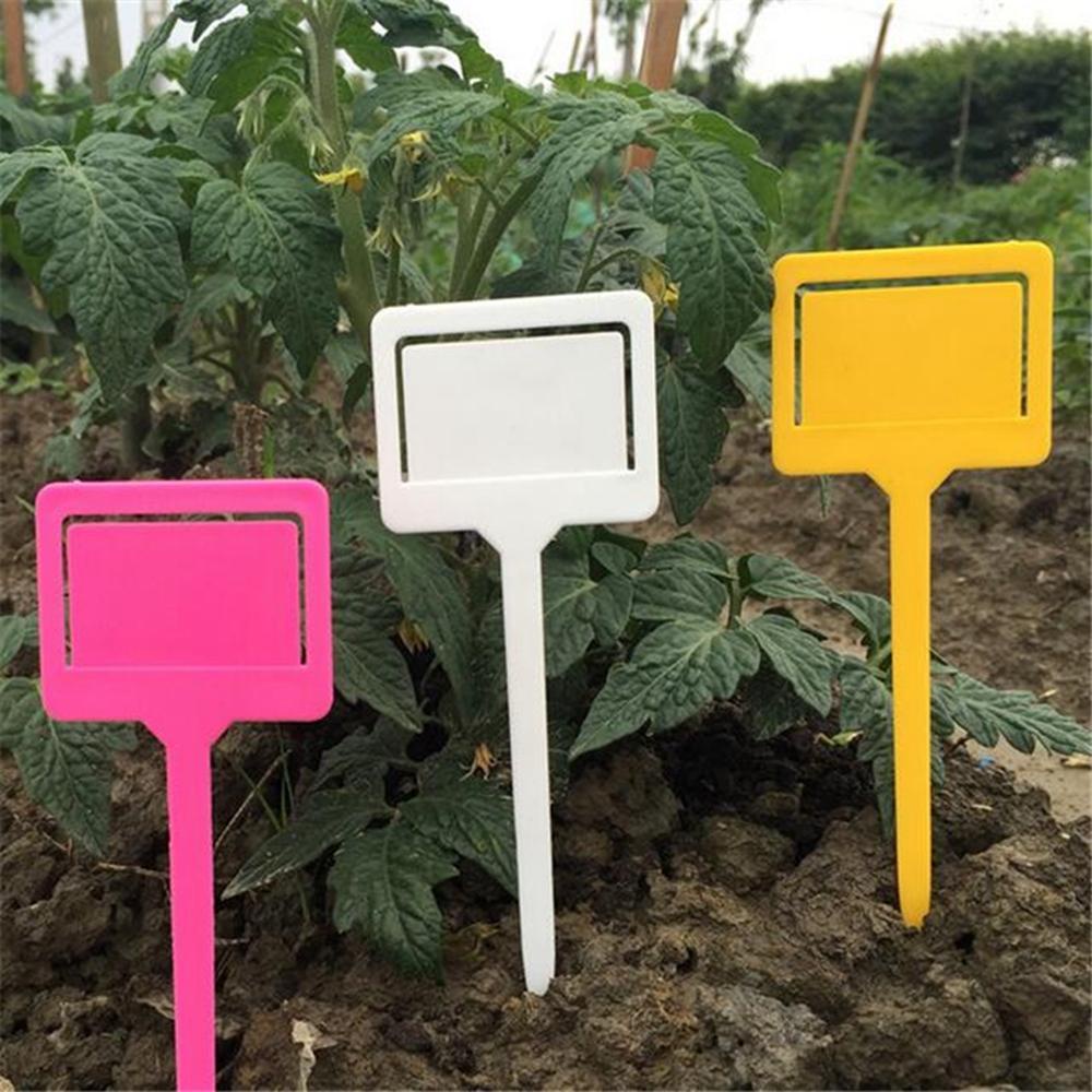 Set 20 Thẻ Đánh Dấu Phân Loại Cây Trồng Dạng Treo Tiện Dụng