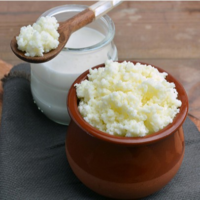 Combo Nấm sữa chua Kefir - Nấm tuyết Tây Tạng  - hebenastore