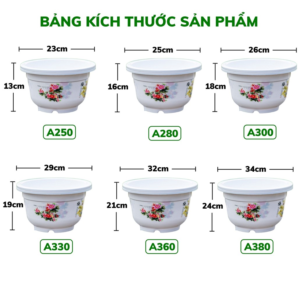 Chậu trồng cây, chậu nhựa trồng cây in hoa văn Hoa bốn mùa nhiều size hàng công ty