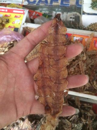 Khô tôm tít (bề bề)