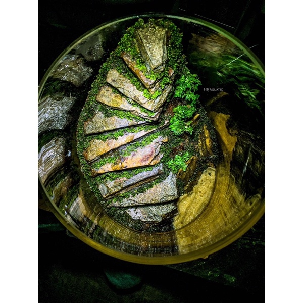 Đá Trầm tích Vân gỗ 1kg