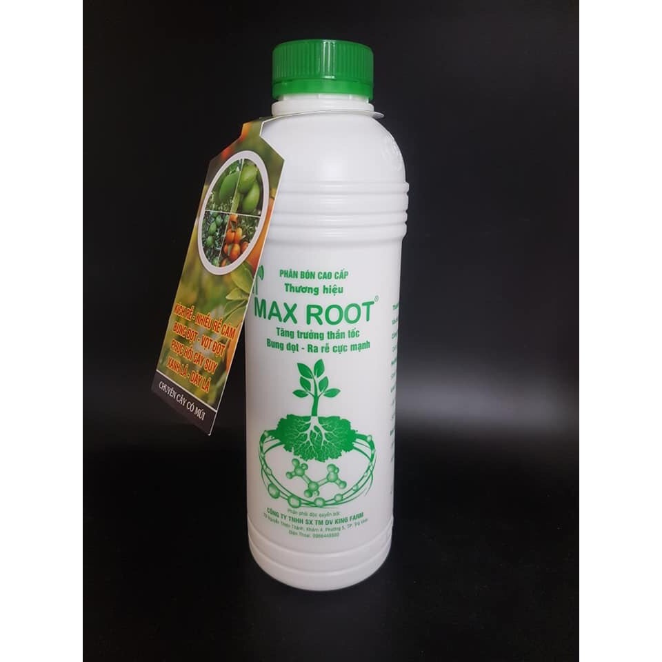 [500ml] MAX ROOT - Kích bung đọt, kích rễ cây cực mạnh phục hồi cho cây trồng