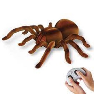 Bộ con nhện điều khiển từ xa có đèn sáng ở mắt cực hót giúp bé khám phá thế giới bên ngoài hàng cao cấp