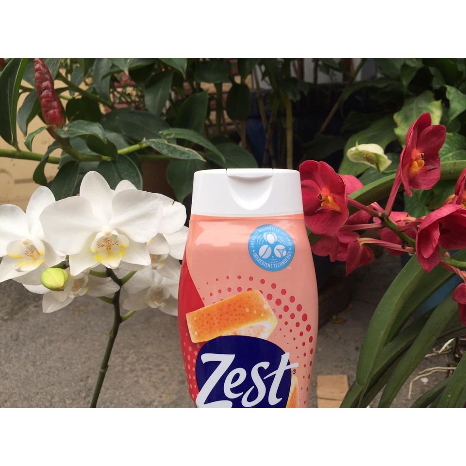 Sữa tắm Nam Nữ Zest xuất xứ Mỹ 487 ml đủ mùi hương