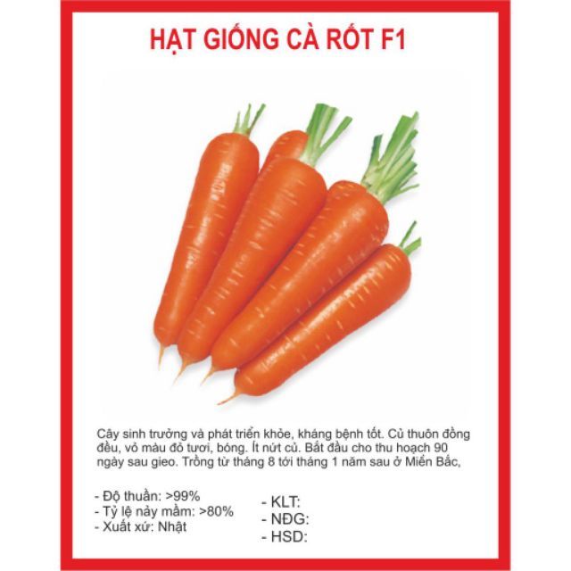 Hạt Giống Cà Rốt Cao Sản F1 - 1gr