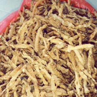 Sá sùng con nhỏ 1kg