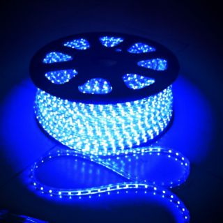 Dây led 5050 100M ngoài trời quấn cây