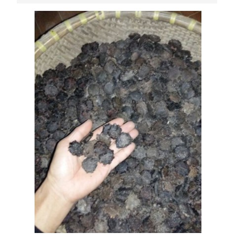 1kg hạt gấc khô ( mộc miết tử) hàng chuẩn loại 1