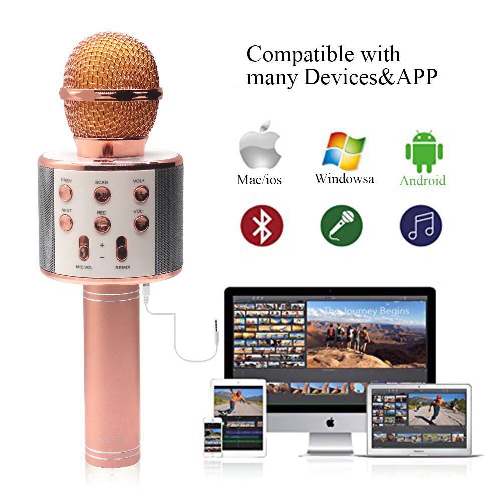 [ FreeShip] Micro Karaoke Kiêm Loa BLUETOOTH WS858