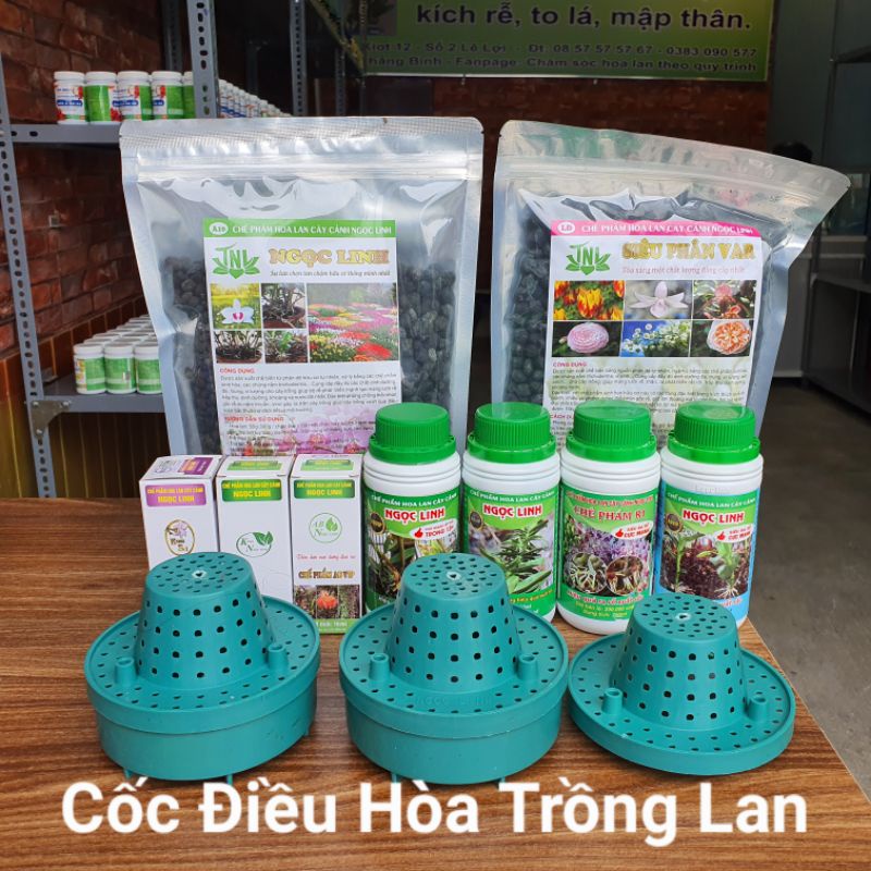 Cốc Điều Hòa Thông Minh Trồng Lan