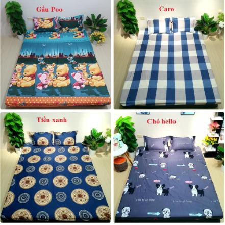 Xả hàng tết Bộ ga gối 2m2 cotton poly ava 2M225