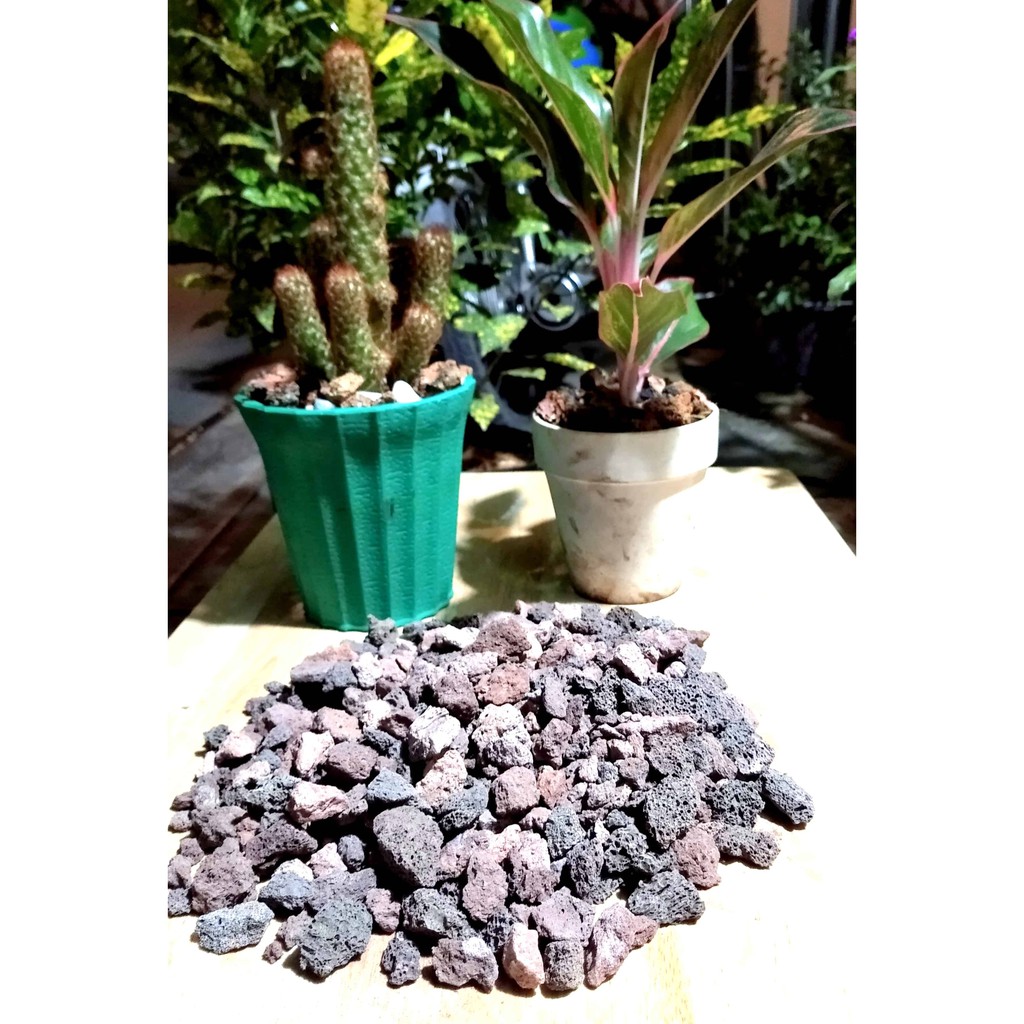 Đá núi lửa nham thạch giá thể trồng lan, sen dá xương rồng 1kg
