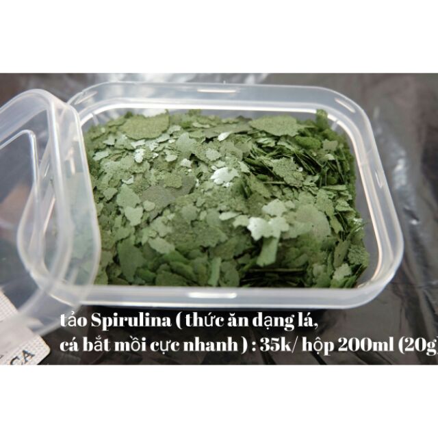 Thức ăn cá cảnh ( tảo spirulina)